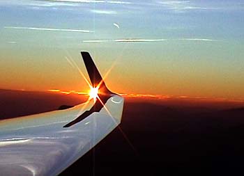 winglet in sunset